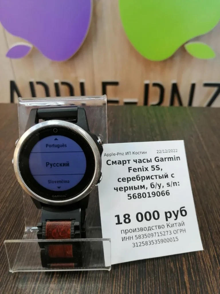 Смарт-часы Garmin Fenix 5S